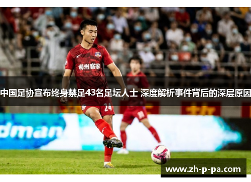 中国足协宣布终身禁足43名足坛人士 深度解析事件背后的深层原因 中国足协宣布终身禁足43名足坛人士 深度解析事件背后的深层原因